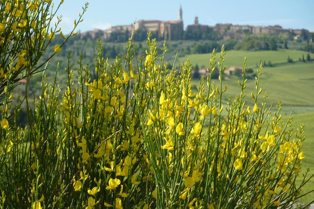 Camere Andrei Pienza Exterior foto